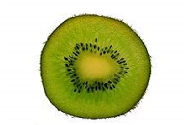 Kiwi groen Producten in de kijker Webshop